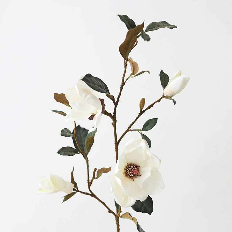 spring8