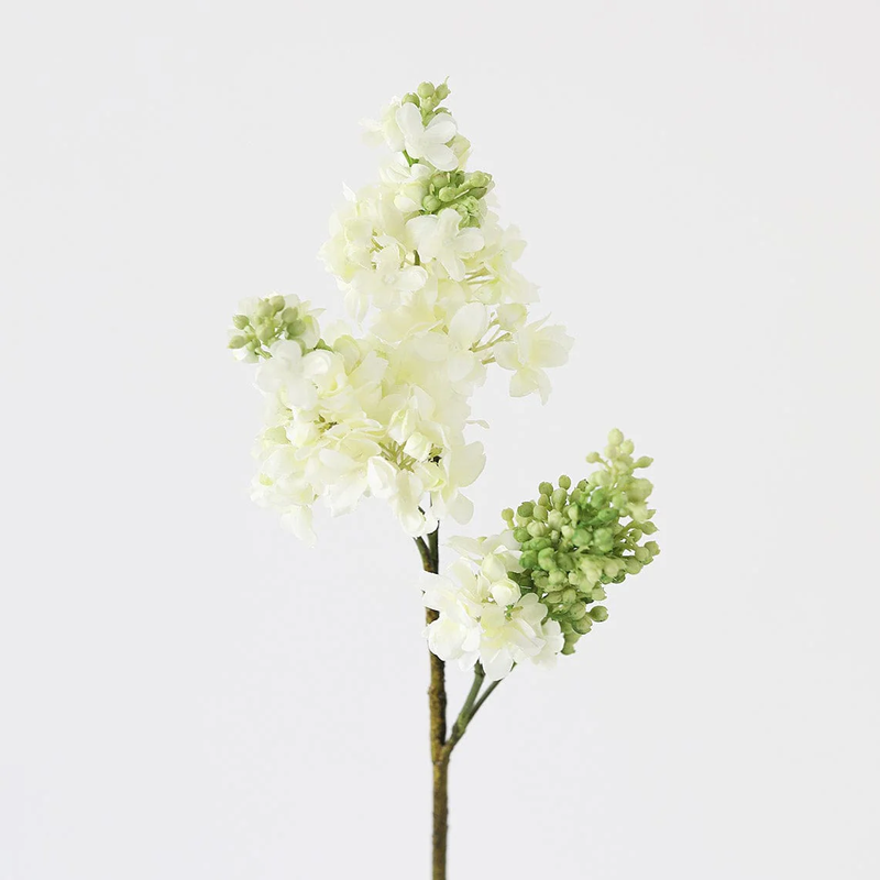 spring9
